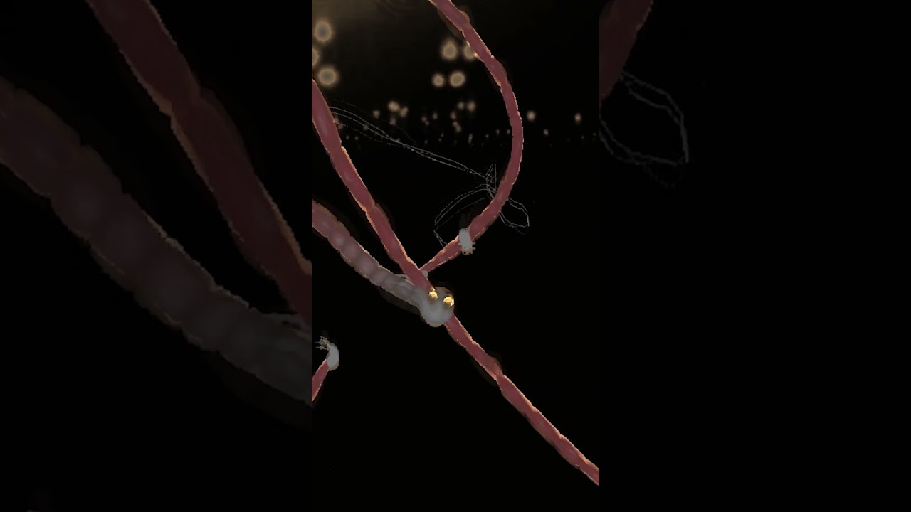 О кампании Выжившего и Монаха. 