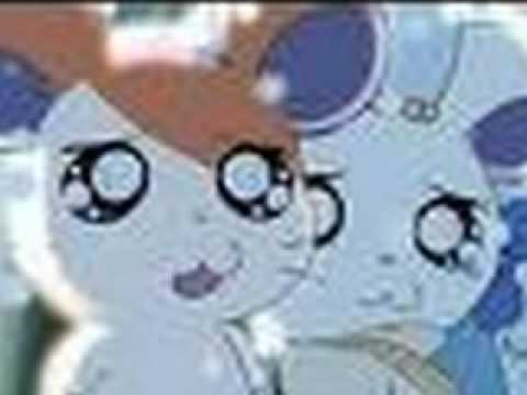hamtaro ham hams unite reporter hamtaro ham hams unite reporter