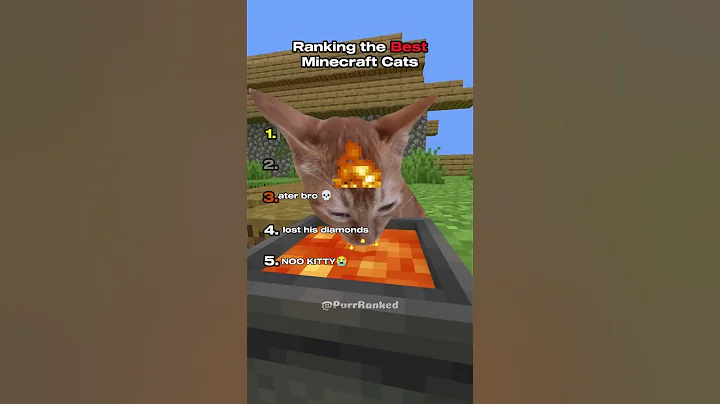 Video 11670781: funnycatvideos cat, best cat, funny cat