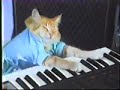 Keyboard cat 1 hour