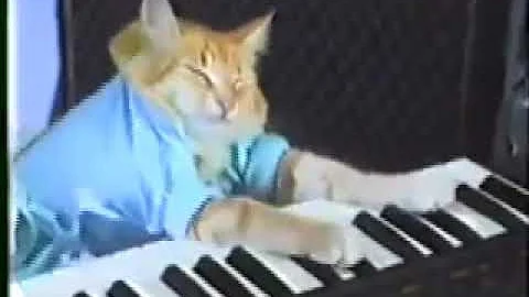 Keyboard Cat 1 hour