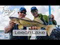 THE BITE - Leech Lake Walleyes (June 2021)
