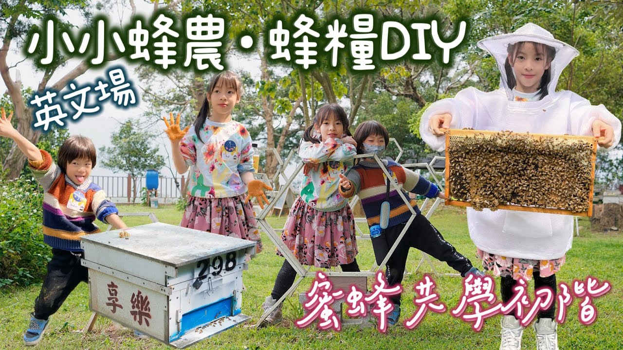 享樂蜂蜜｜體驗小小蜂農·蜂糧DIY｜蜜蜂共學英文場初階