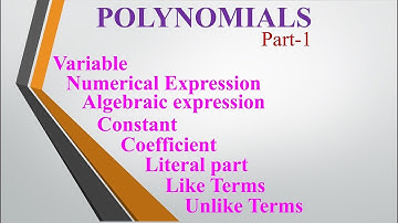 Terms in the Polynomials (Variable, Expressions, Constant, Coefficient, Literals, like&unlike terms)