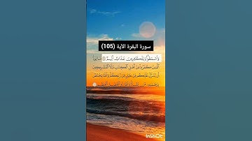 سورة البقرة الآية (105) | القارئ الشيخ: سعد الغامدي