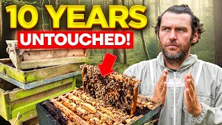 Untouched for 10 Years – We Finally Opened This Abandoned Hive and Saved the Colony