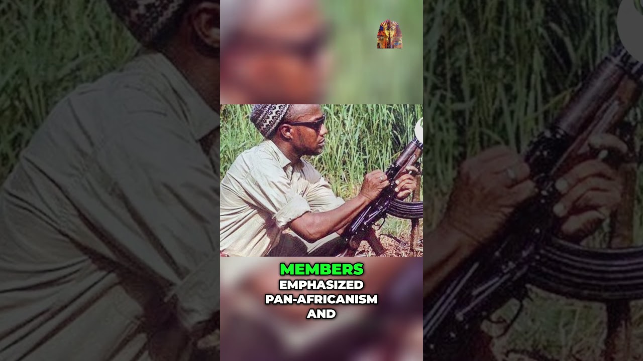 African Independence War: The Untold Story of Armed Struggle