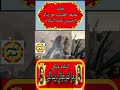 قصه عفيفه وزينب ع اجمل قصه قصه عفيفه وزينب ع اجمل قصه