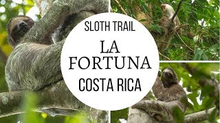 La Fortuna Sloth Tour, Costa Rica