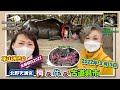 Mikisanta TV2022/3/4放送【平山みきの京都探訪2022北野天満宮『梅と牛と古道具市』】編