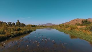 RESERVA NATURAL MUNICIPAL