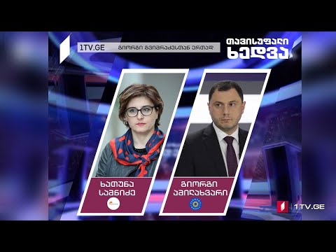 ოპოზიციის სამოქმედო გეგმა - ხათუნა სამნიძე / გიორგი ამილახვარი #თავისუფალიხედვა #LIVE