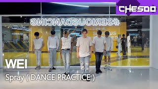 [Dance Practice] Chesdo | WEI SPRAY 🇹🇭