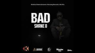 Shane O - Bad | Audio