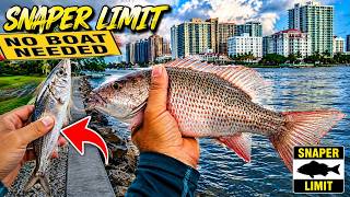 Best Bait for Snapper Limit at this Tampa bay Florida Pass