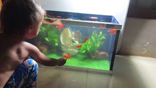 Girl fishing in an aquarium, 4k video