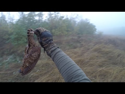 Кто в чем ходит на охоту осенью Кто в чем ходит на охоту осенью
