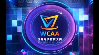 💜【TED出品】WCAA 8强 Lyn 🆚 Fly  Fly77%