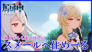 【原神】ぬいんむやるよ。※初見さん大歓迎！！【雑談】