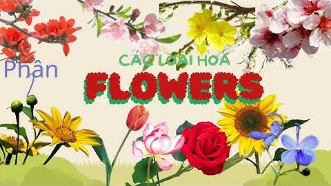 Hana English | Từ Vựng Tiếng Anh Về Các Loài Hoa (Phần 2) - Flowers Vocabulary In English (Part 2)
