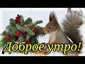 Доброе утро! Прекрасного дня! Пусть утро будет добрым! И ладятся дела! Лучшее видео пожелание!