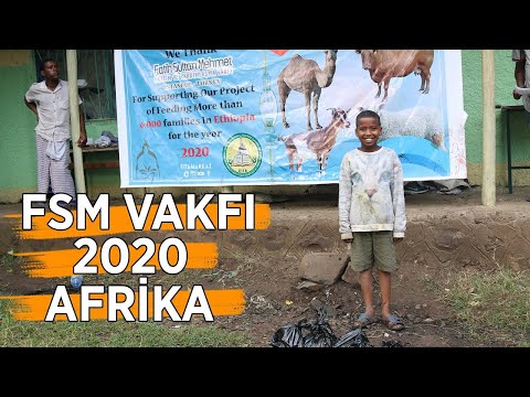 (Afrika) VEKALETİNİ ALDIĞIMIZ KURBANLARI KESTİK! - 2020 / FSM Vakfı