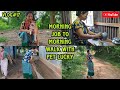 My everyday schedule  morning job to morning walk with our loving pet lucky 