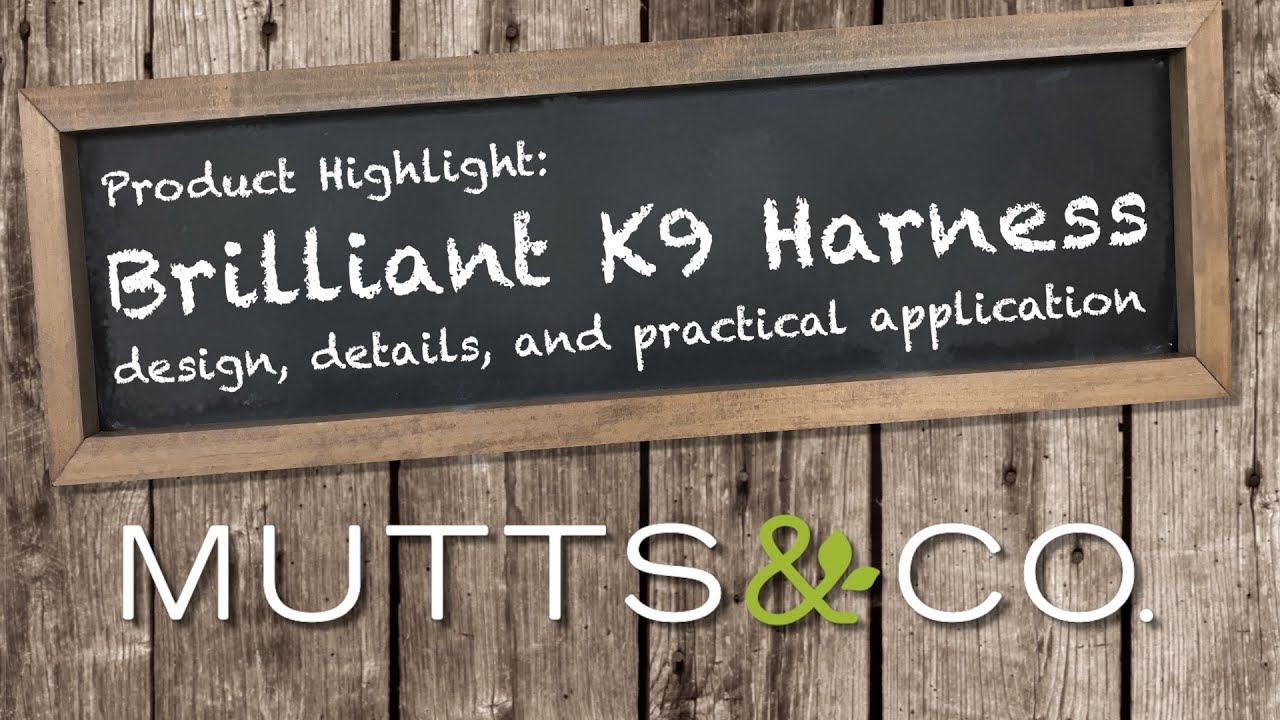 Product Highlight BrilliantK9 Harness YouTube