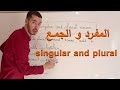 المفرد و الجمع في الإنجليزية Singular And Plural Nouns 