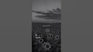 اغنية وصرخت اني استطيع اكمال حلمي لن اضيع 