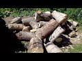 Выгодно ли покупать дрова бревнами