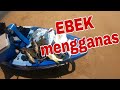 #59 ebek mengganas sebelum tengkujuh#langfishing#mkf#kayakfishingmalaysia