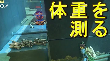 ゼルダの伝説ブレスオブザワイルドオクタバグ