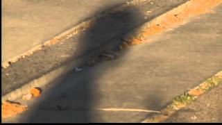 APD investigates double homicide