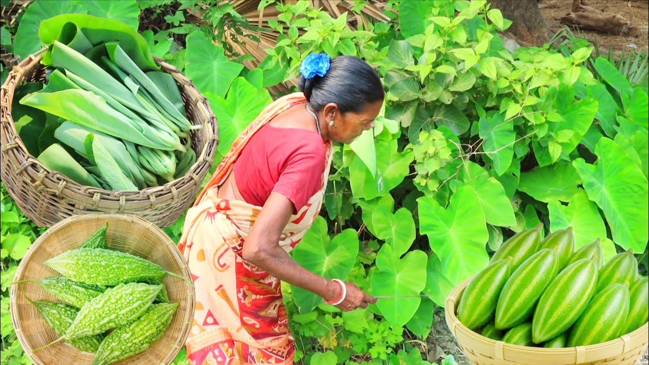Traditional Santali Lunch: Kochu Leaves and Green Vegetable Curry by Grandma