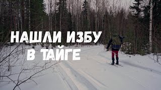 Нашли избу в тайге. Ночь в лесу