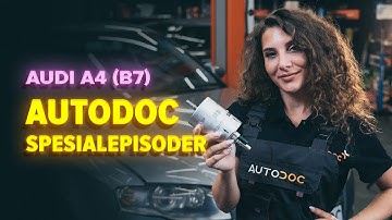 Hvordan bytte drivstoffilter på AUDI A4 B7 Sedan [AUTODOC-VIDEOLEKSJONER]