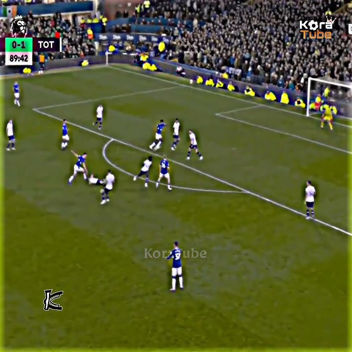 هدف عالمي ايفرتون يرفض الهزيمة KoraTube