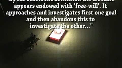 LEGO Grey Walter Tortoise