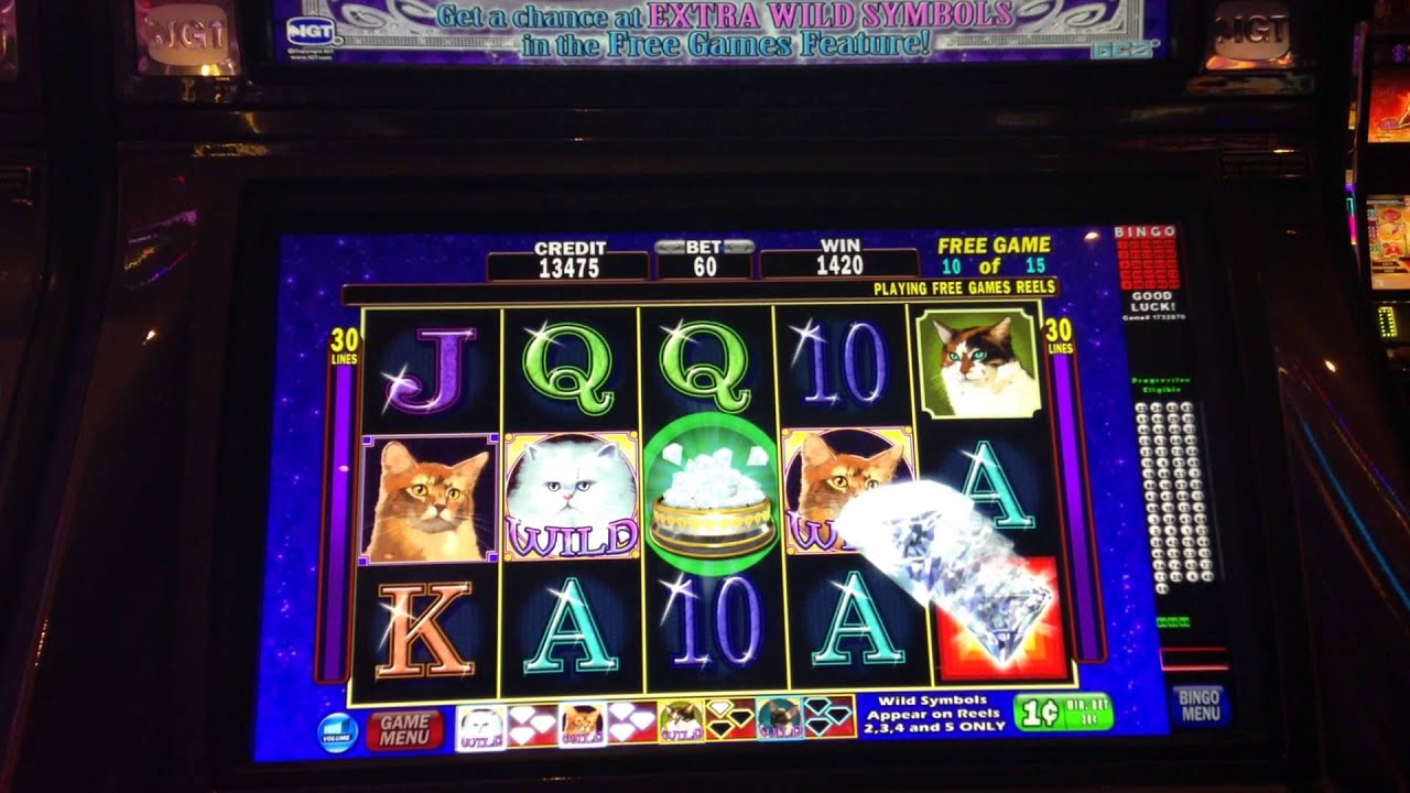 KITTY GLITTER SLOT MACHINE BONUS BIG WIN YouTube