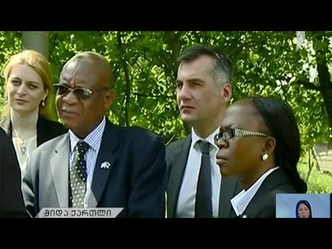 ბოტსვანის საგარეო საქმეთა მინისტრის ვიზიტი