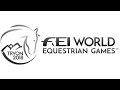 ~Equestrian Games~Tryon 2018~Equestrian Sport~Firework~Конные игры~Трион 2018~ Конный спорт~