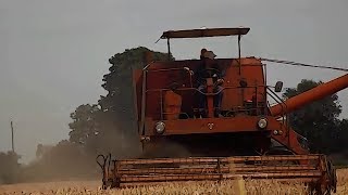 W Dzień Gorącego Lata Żniwa 2017 Bizon Zo56 X3 Ursus