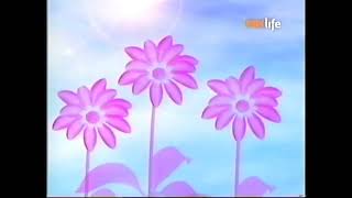 Magic Lantern - Arboles y Plantas - BabyTV