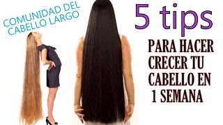5 tips para hacer crecer tu cabello en 1 semana