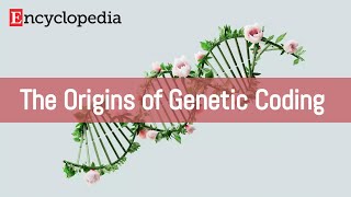 The Origins of Genetic Coding