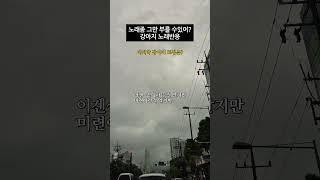 비오는 날, 내 노래가 싫은 강아지의 반응 |씨끄럽게해서 미안하다미안해 #강아지쇼츠 #강아지 #귀여운강아지#강아지반응 #dogshorts #강아지노래