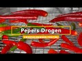 Pepers Drogen Voedseldroger | Thuis Chilipepers Drogen