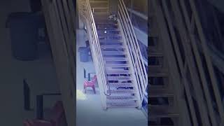 Ghost Inmate Caught On Camera