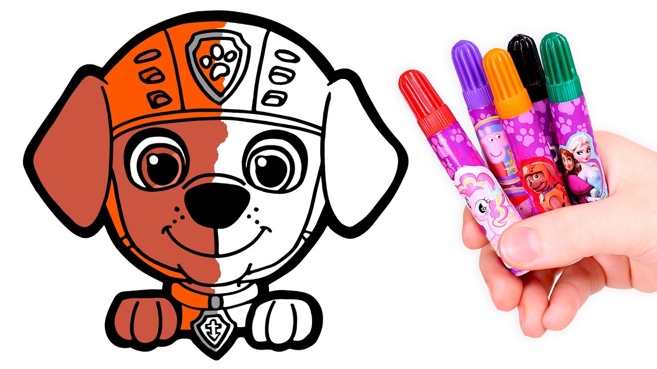 ⁣PAW PATROL 🌈 Dibuja y Colorea a ZUMA 🧡🐾🌊 Dibujos para niños